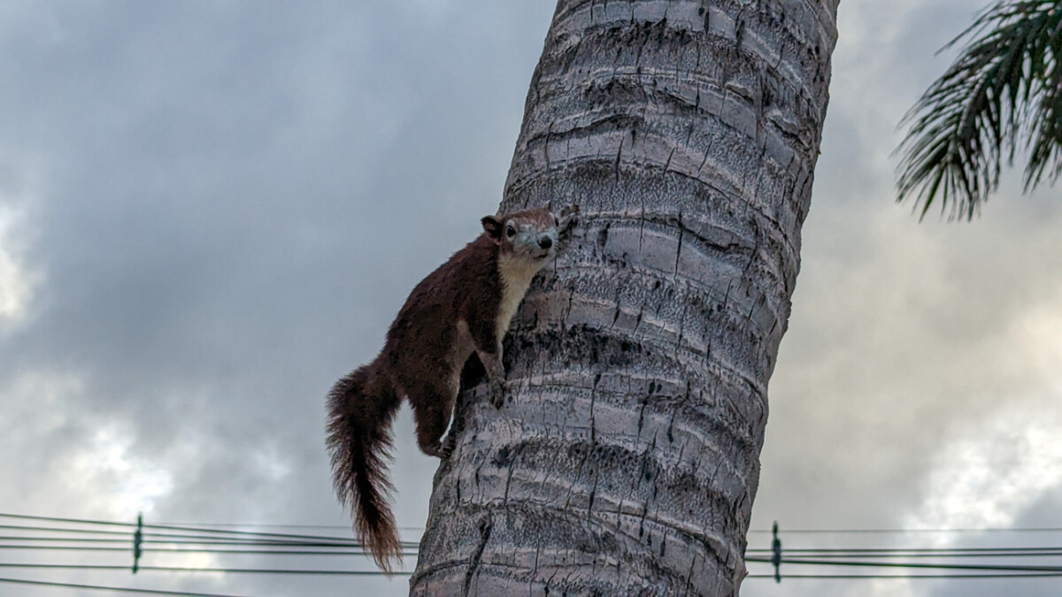 タイ・パタヤ研修 3日目 今日はまったりと過ごす