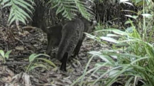 自分が撮影し、感動した動画など