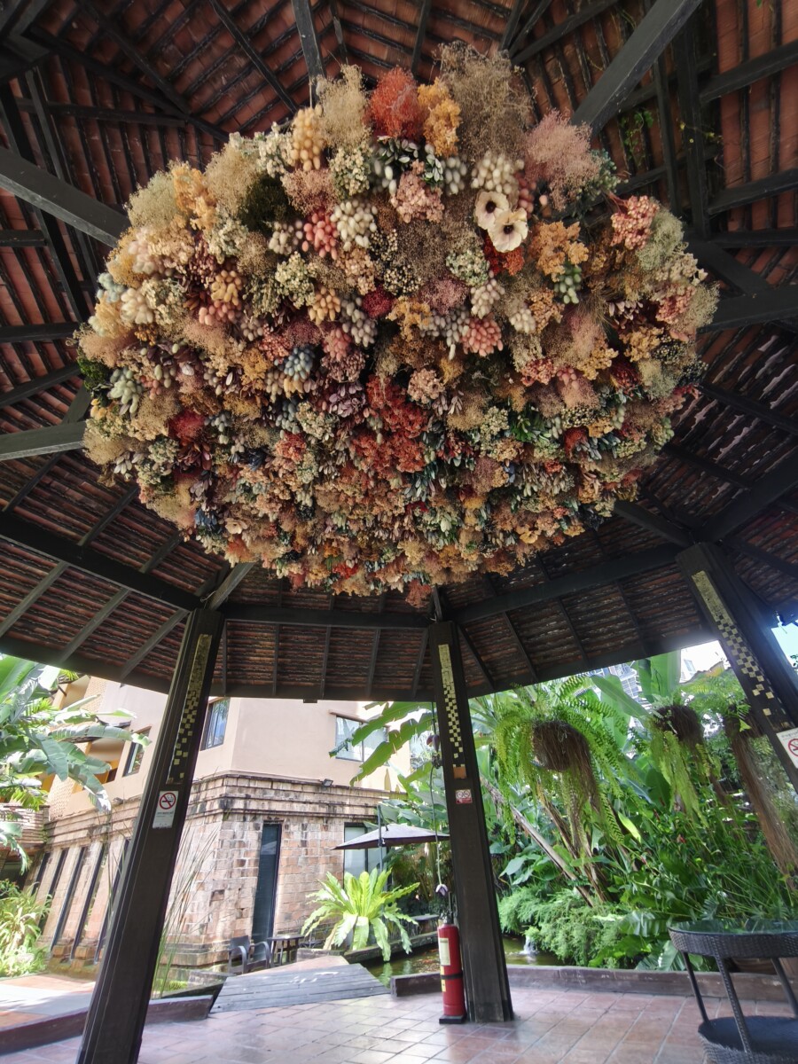 ニマンヘミン、サンティタム周辺をうろうろと。