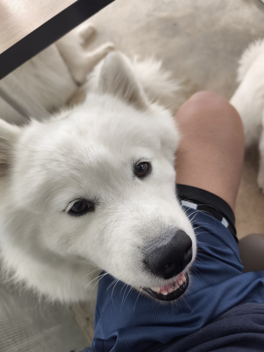 日本人で忘年会など