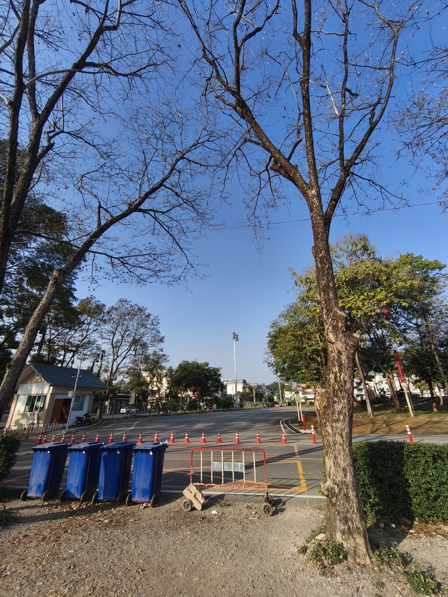 最近の運動量。