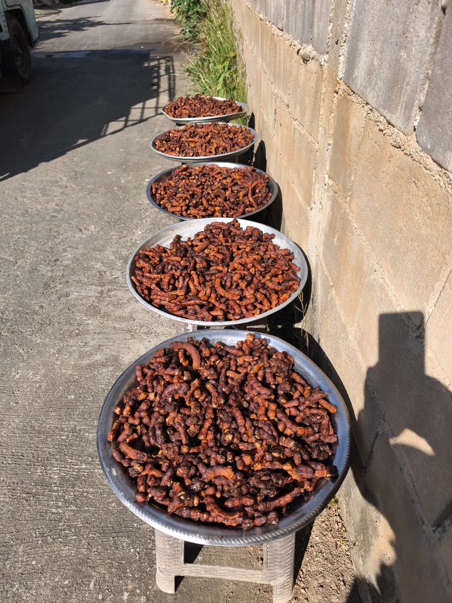 初めて食べる果物2種類
