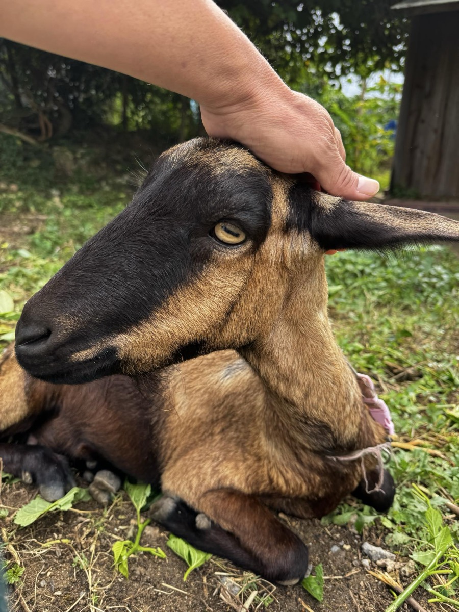 行動範囲が狭い日々