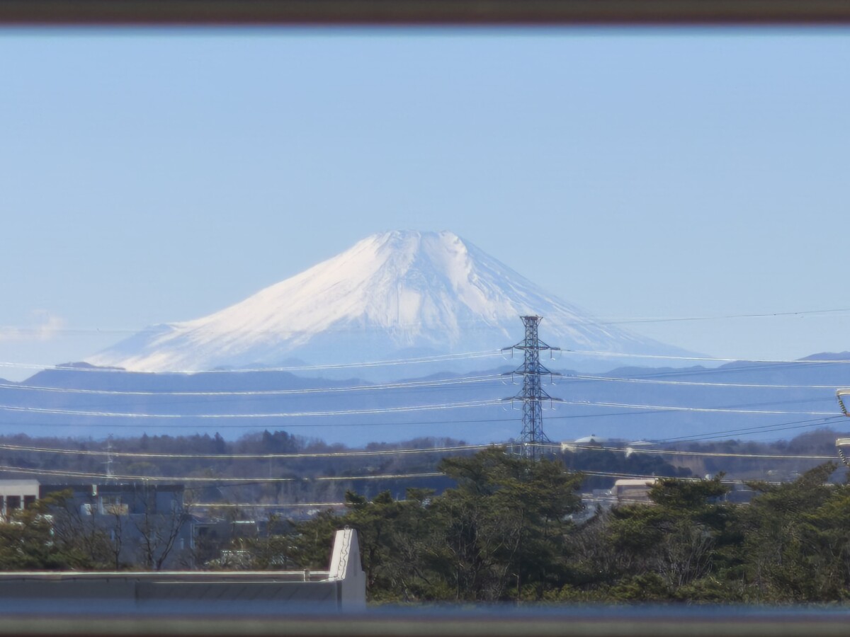 20260203_東京・成田研修2日目