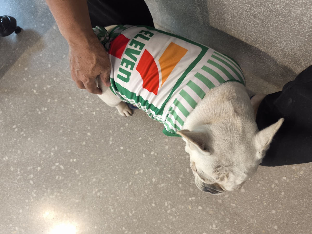 もう少しで全快/Airbnb Japanに動き