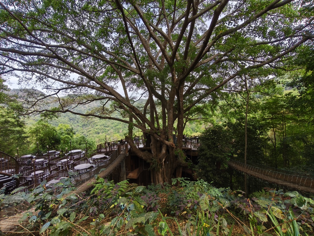 ランパーン研修　2日目(最終日)　20260224