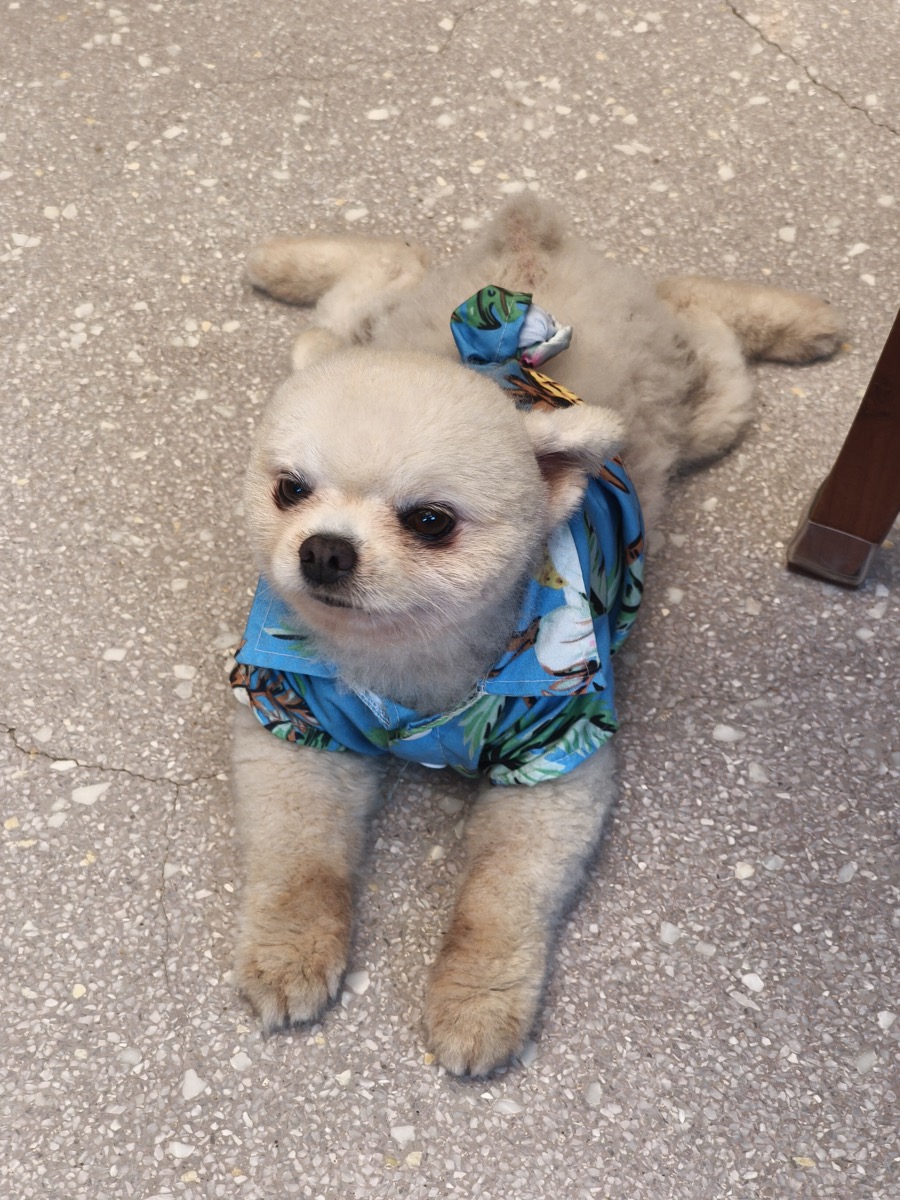 暑くなったと思ったら涼しくなった