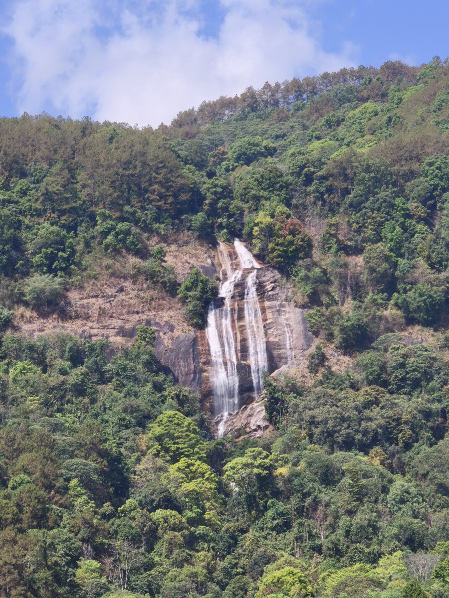 トラを探しにツーリング