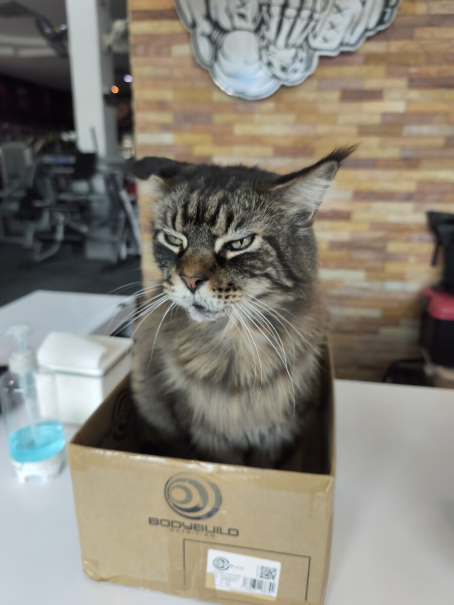 ガソリン入れられない??