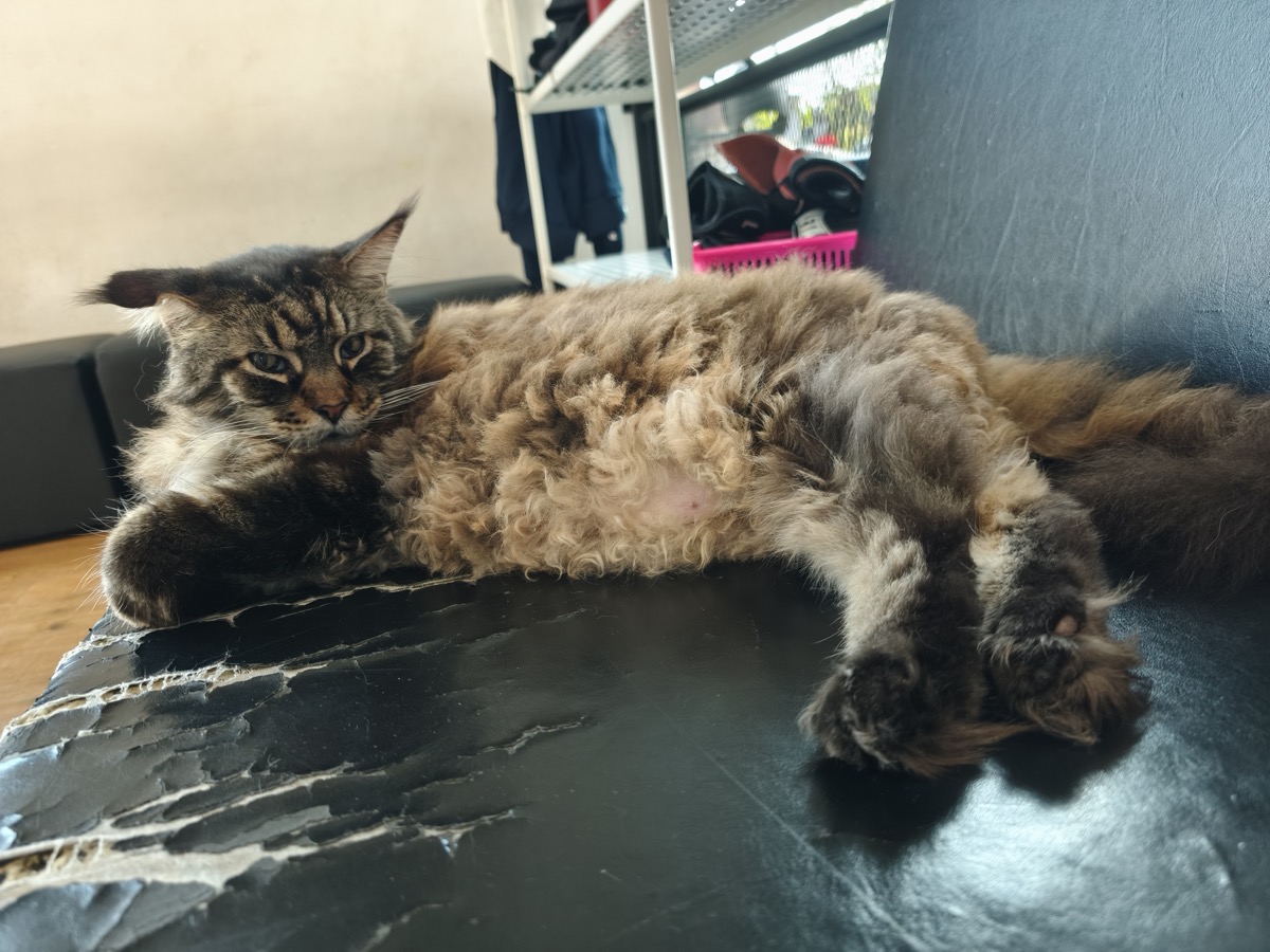 特に変化なし。