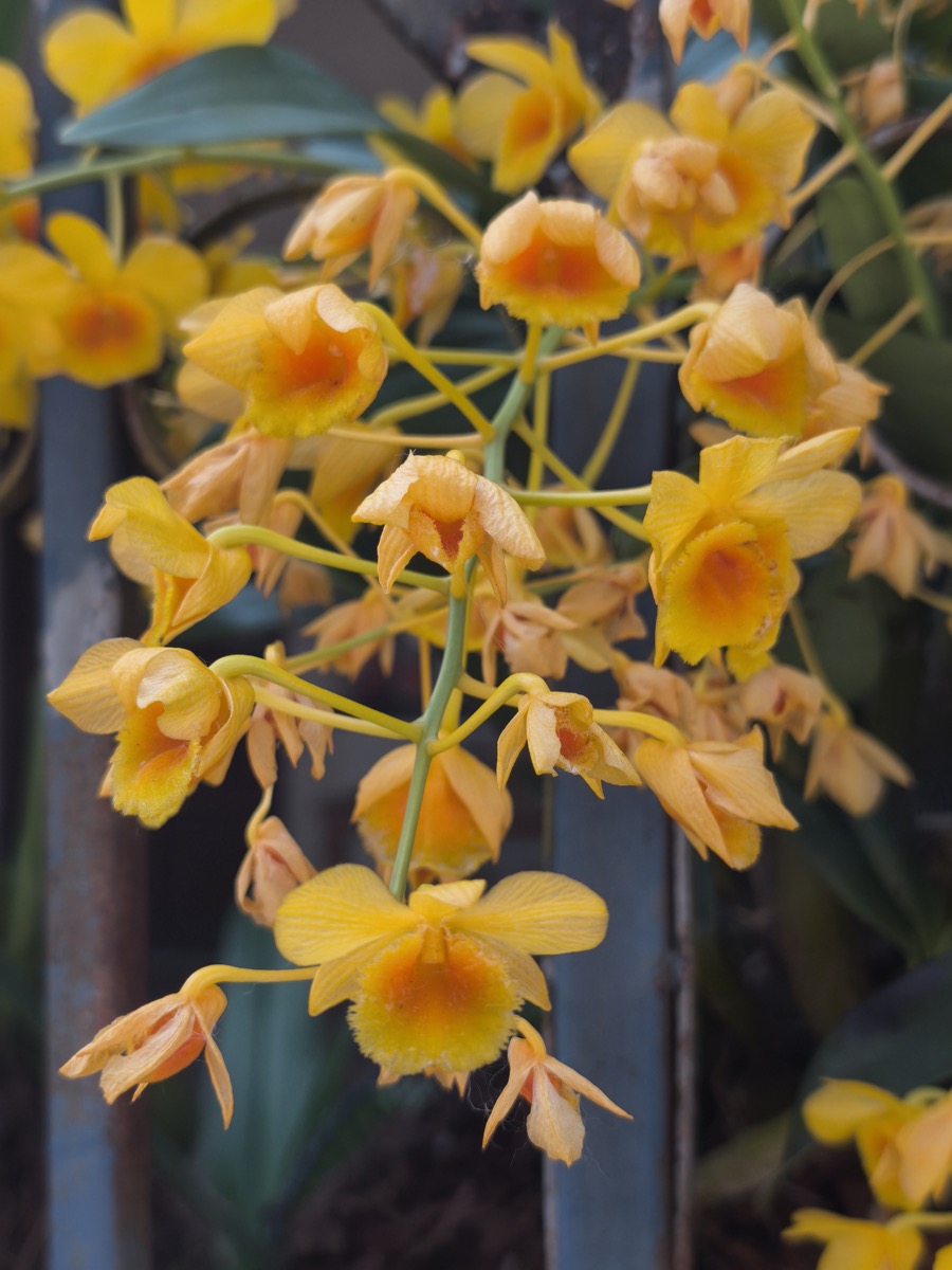 免許更新手続きなどで駆け回る