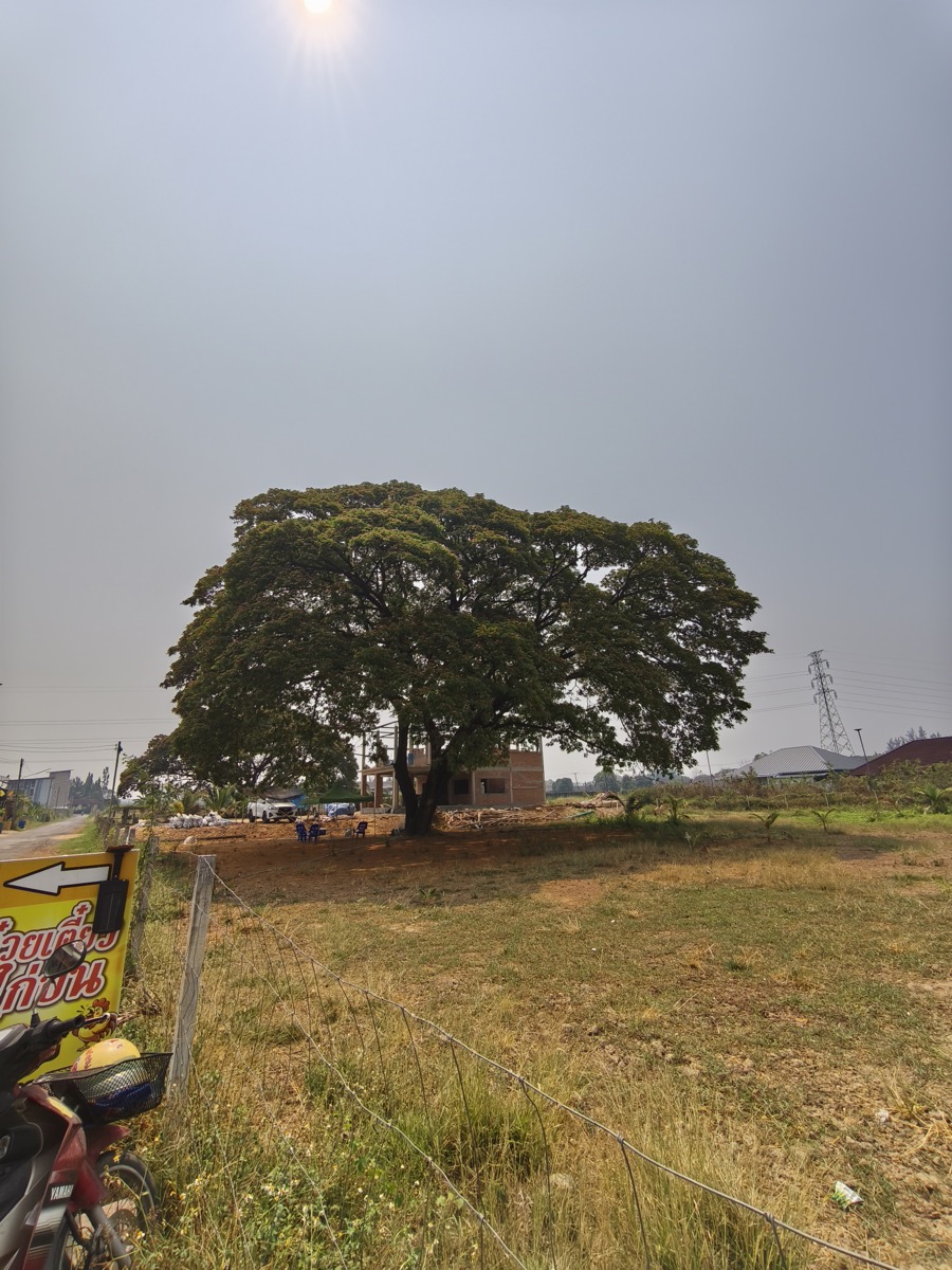 自分は冷酷なのか