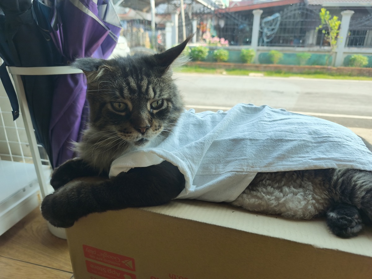 電話帳削除/どのように生きたか/みんなの0円物件