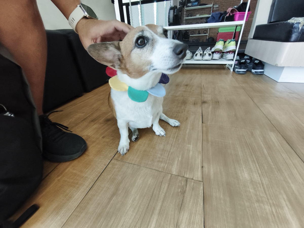 新たなミニマリストの形、MacBook はもういらない