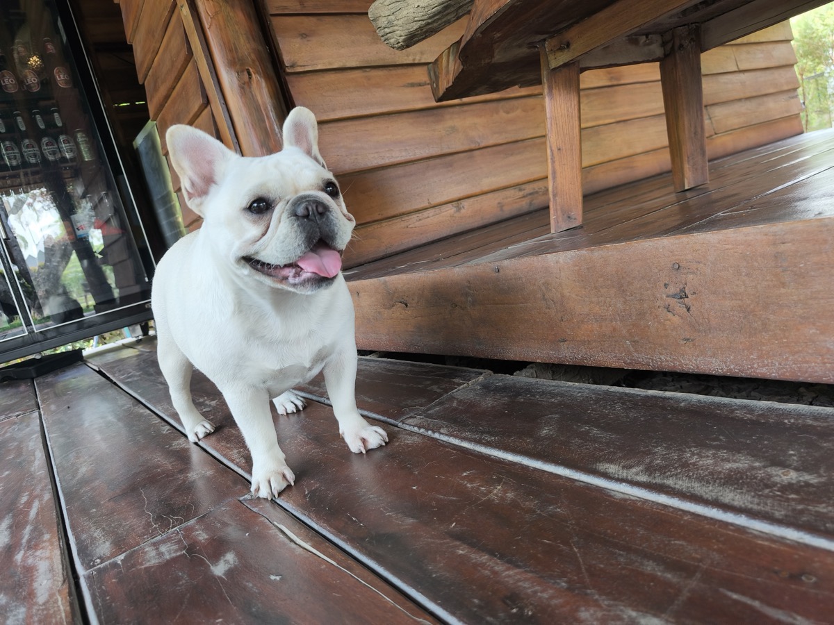 Mac Fan 終了か。