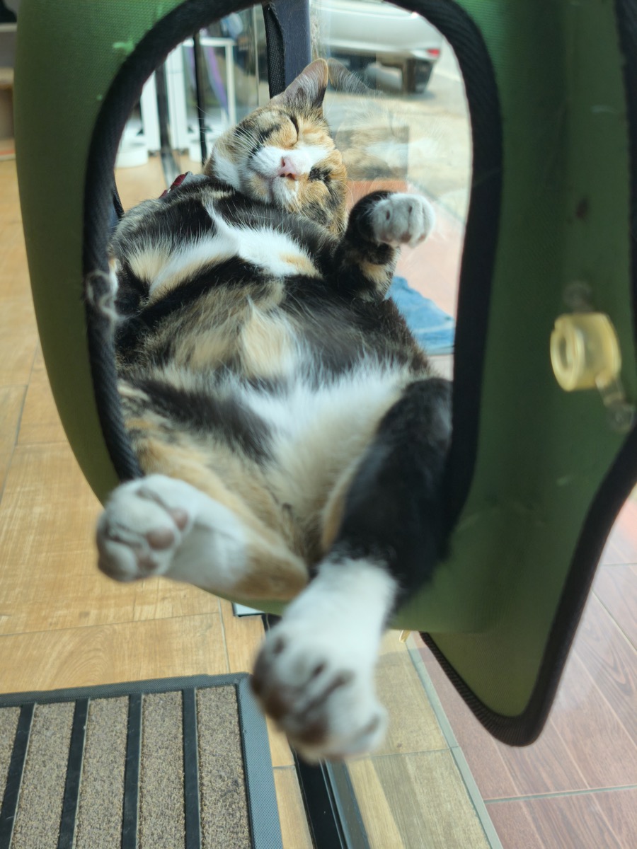 無駄の極み/AIに相談するやつ