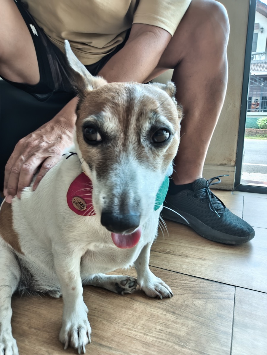 Z世代は戦う機会が消えた世代らしいが