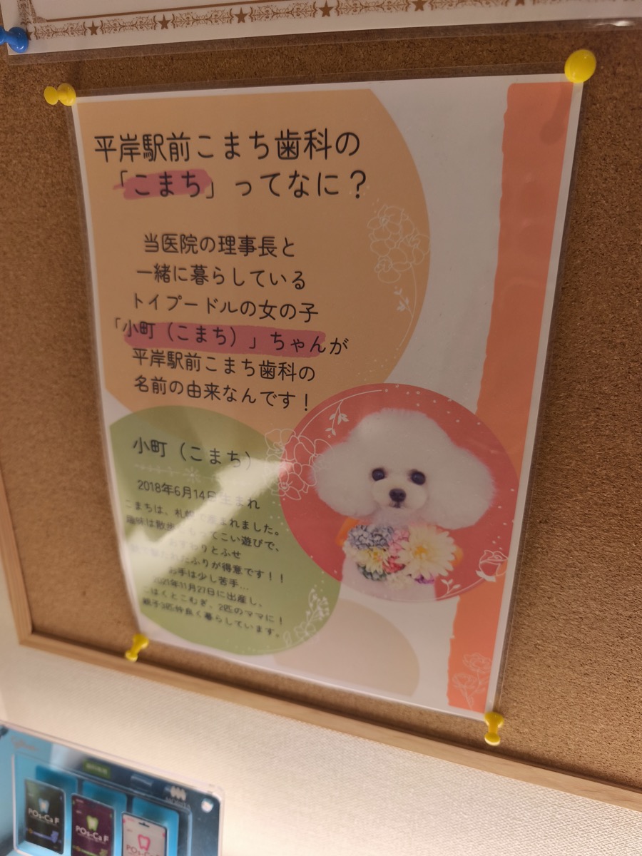 今日も病院のはしご/八重山の人、台風気をつけて