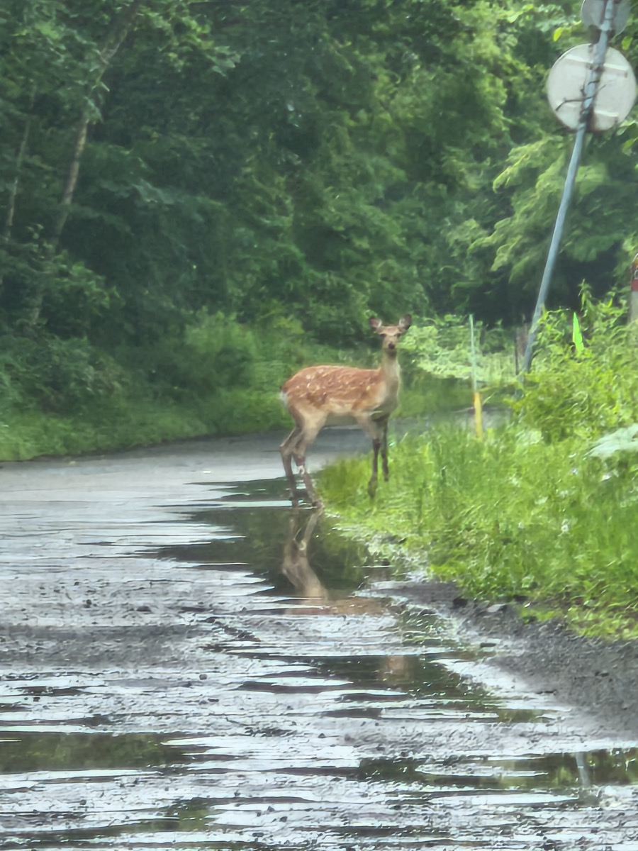 北海道一周研修 1日目 札幌→支笏湖→室蘭→伊達市