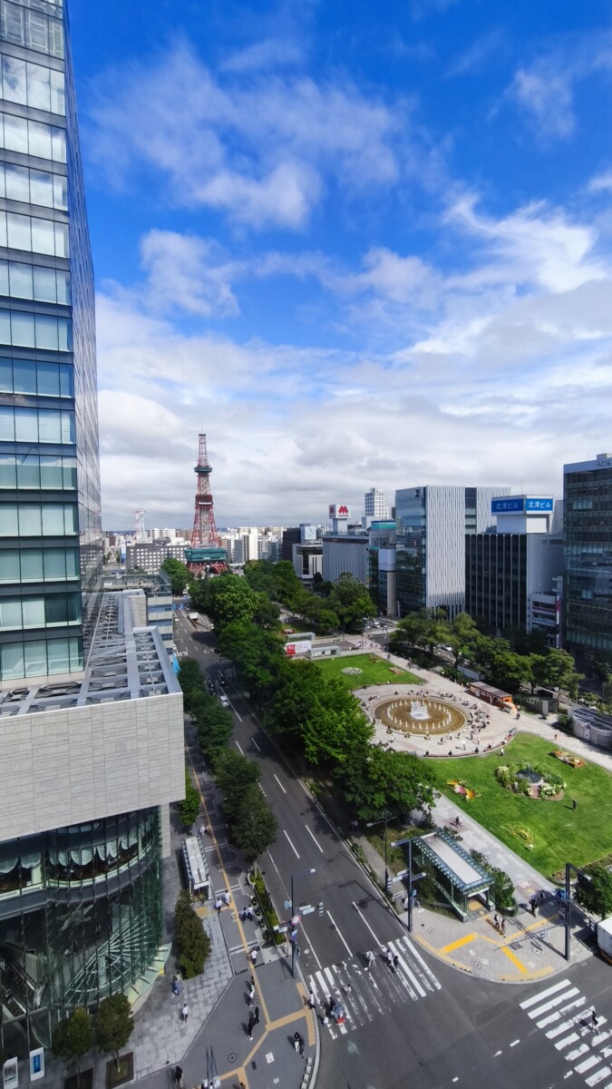 パスポート更新手続き、手術など