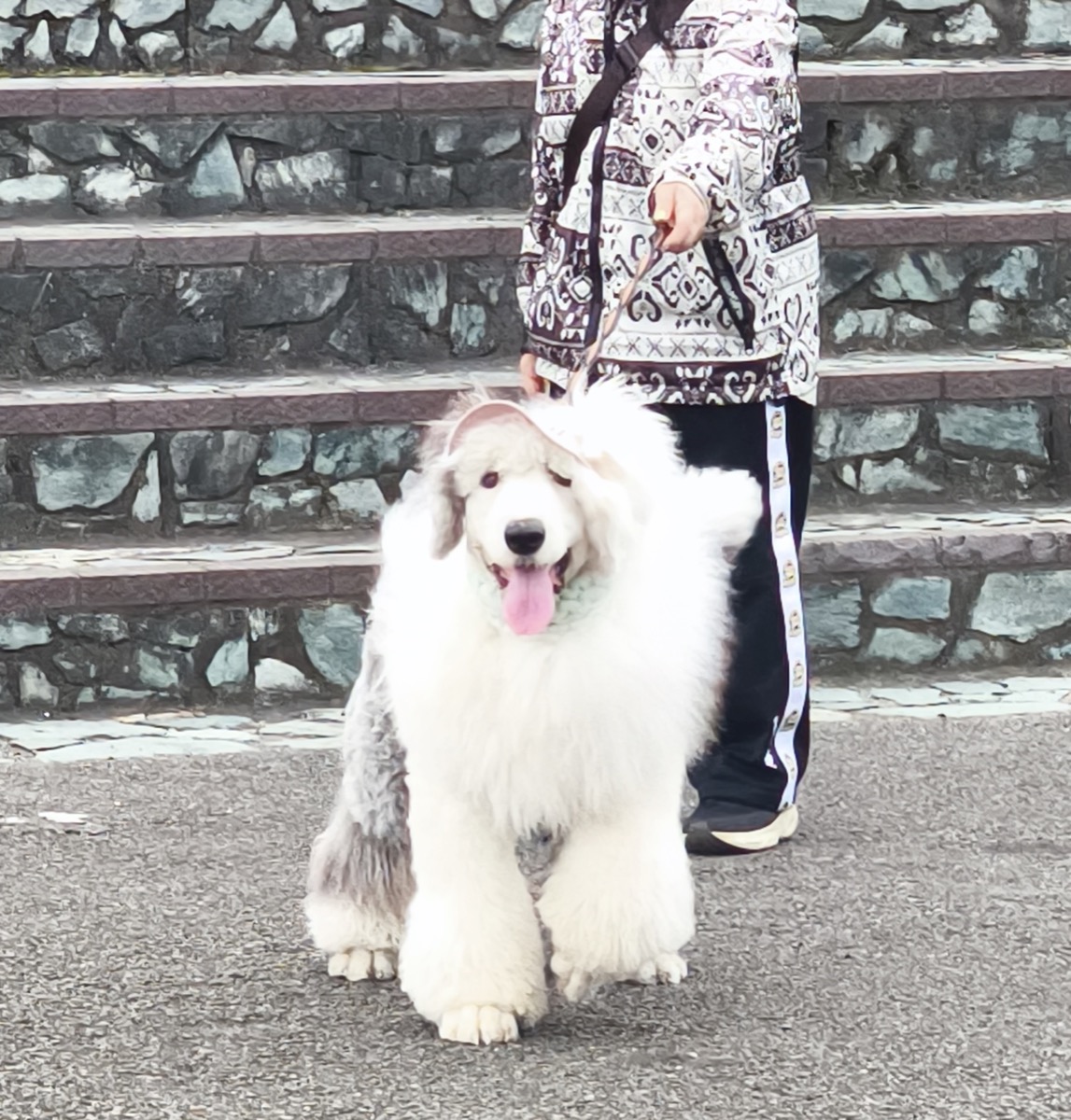 札幌最終日